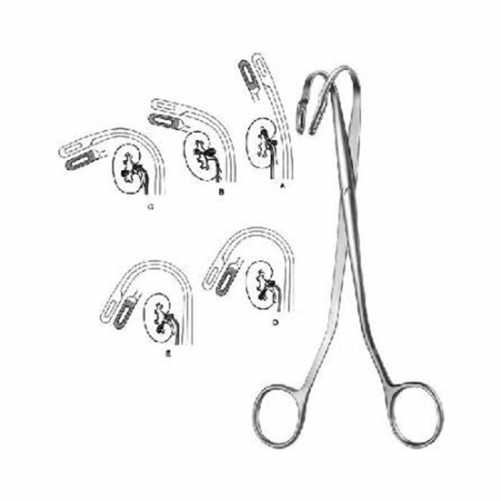 Randall - Sialkot Surgical Supplier