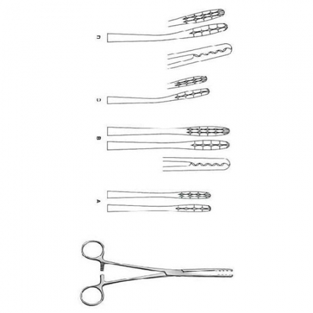 Ulrich - Sialkot Surgical Supplier