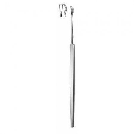 Vidal - Sialkot Surgical Supplier