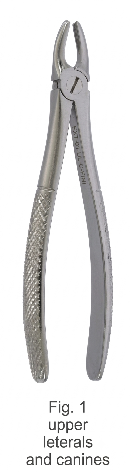 Fig. 1 Maxillary Extraction Forceps – Upper Central Incisors & Canines - Sialkot Surgical Supplier